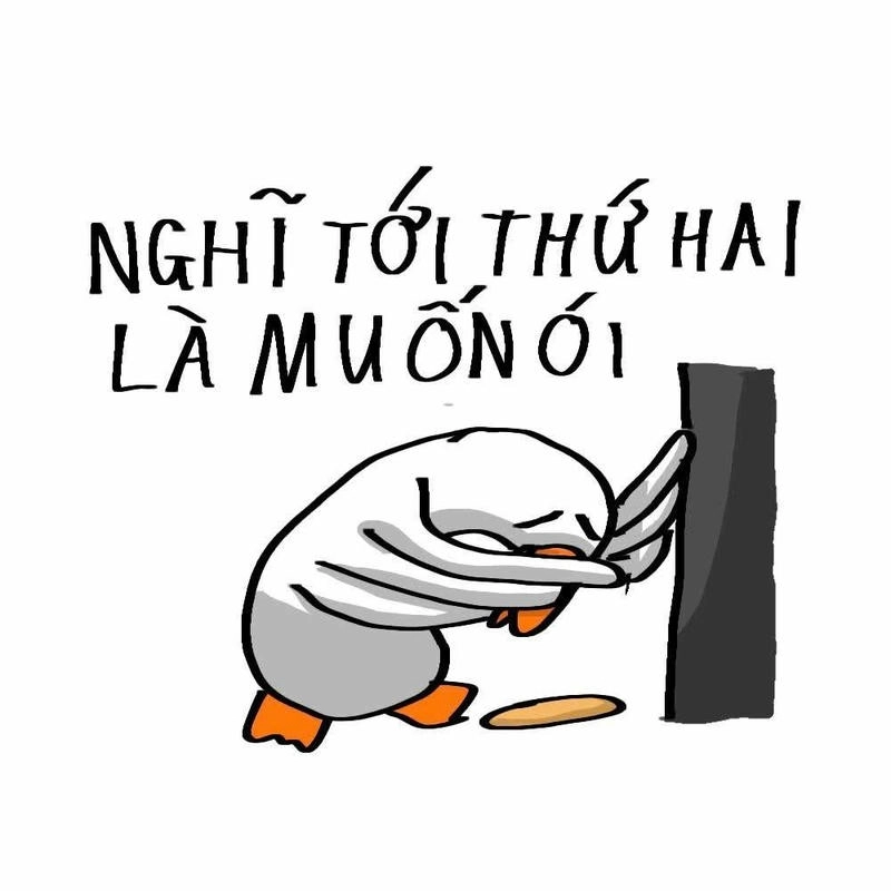meme con vịt đến ngày thứ 2