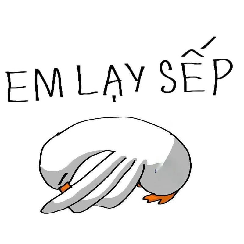 meme con vịt em lạy sếp