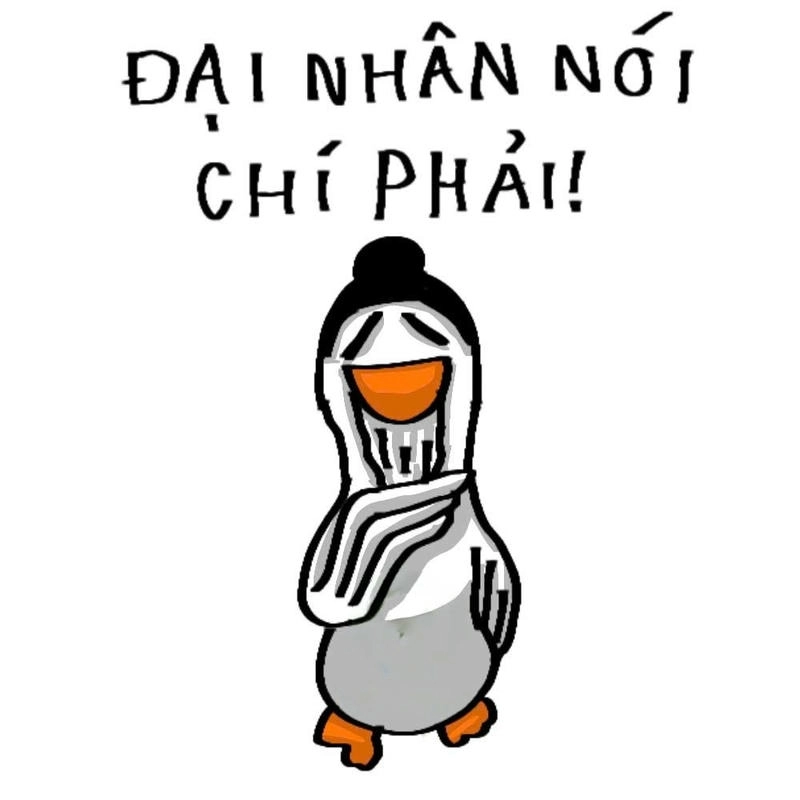 meme con vịt vàng chu mỏ