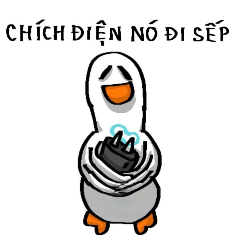 meme ảnh con vịt chế