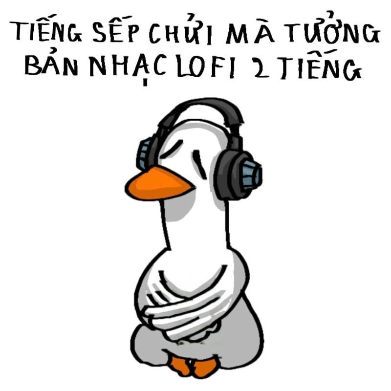 meme con vịt sếp chửi