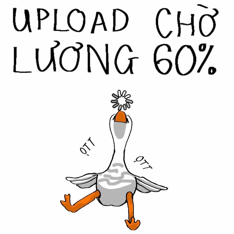 meme con vịt chờ lương