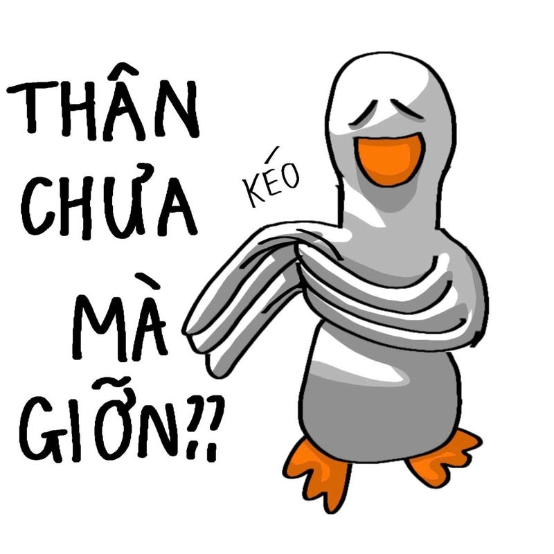 meme con vịt cười