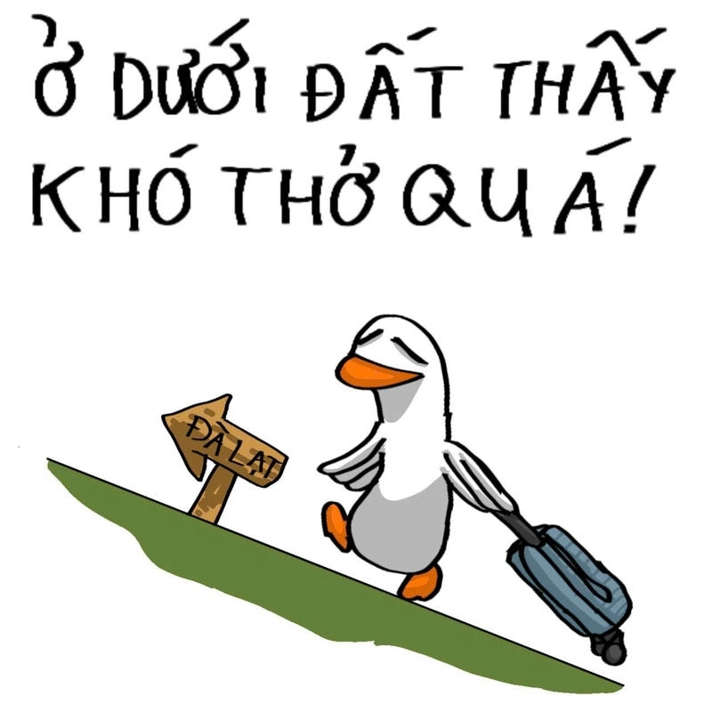 meme con vịt đi du lịch trên núi