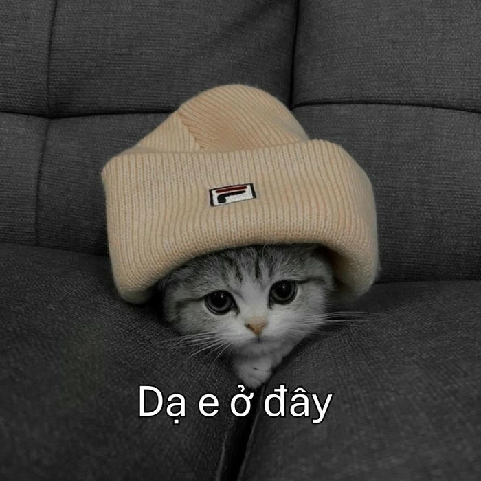 ảnh hài meme dạ em đây