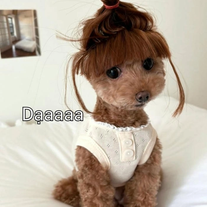 hình dạ meme