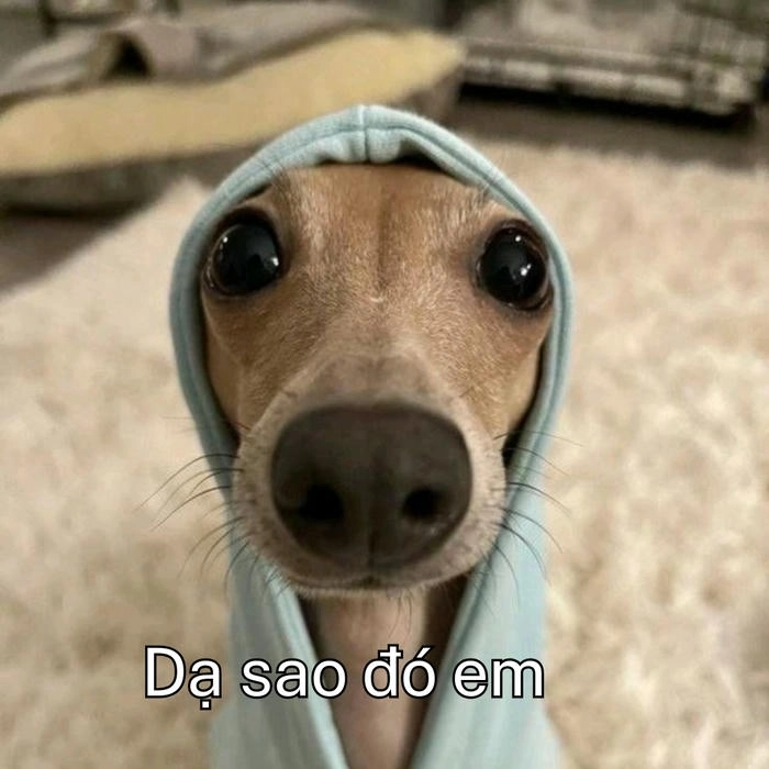 hình dạ meme