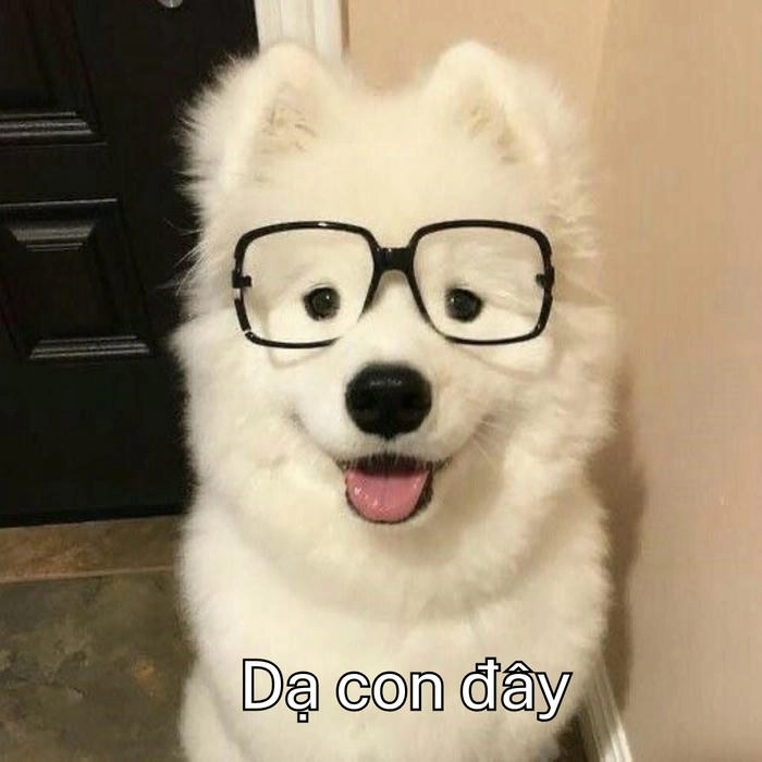 ảnh meme dạ vâng