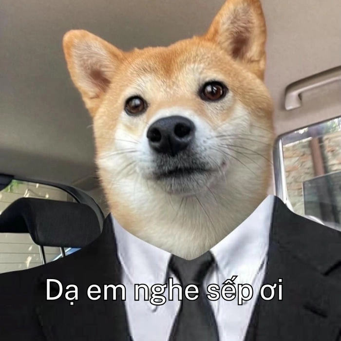 ảnh chế meme dạ sếp