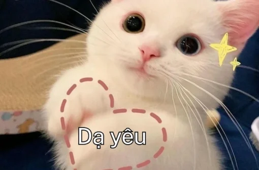 Tuyển chọn 150+ ảnh meme dạ vâng cute đáng yêu hết nấc