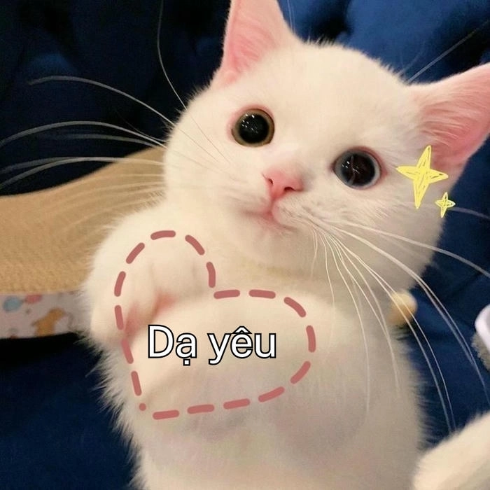 meme dạ vâng cute