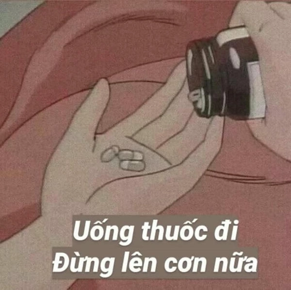 meme hài chửi ngu