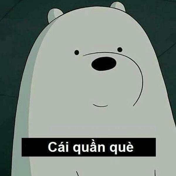 meme lầy lội cái quần què gì vậy