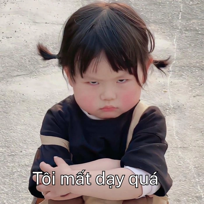 meme hài mất dạy