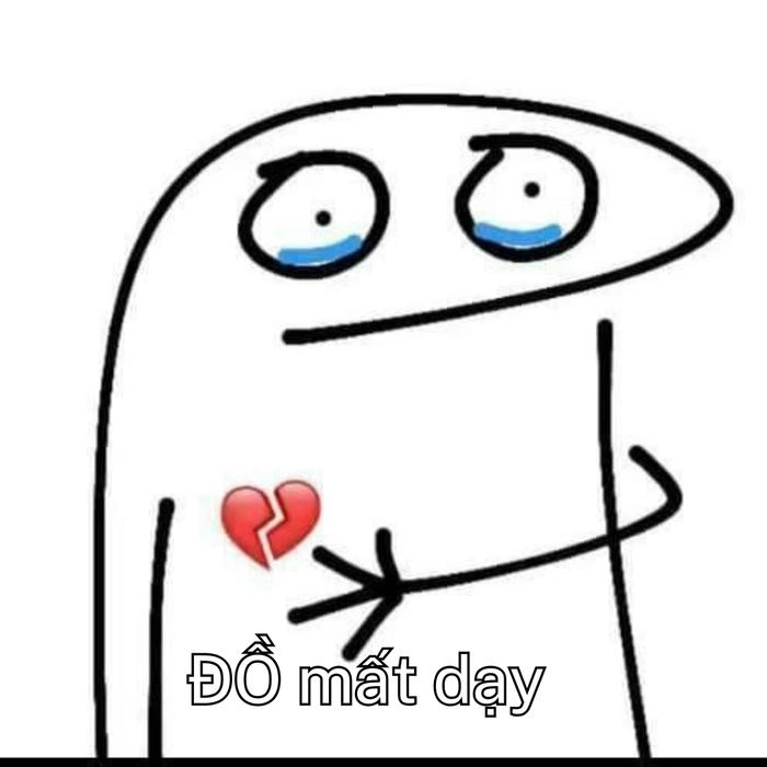 ảnh meme mất dạy hài