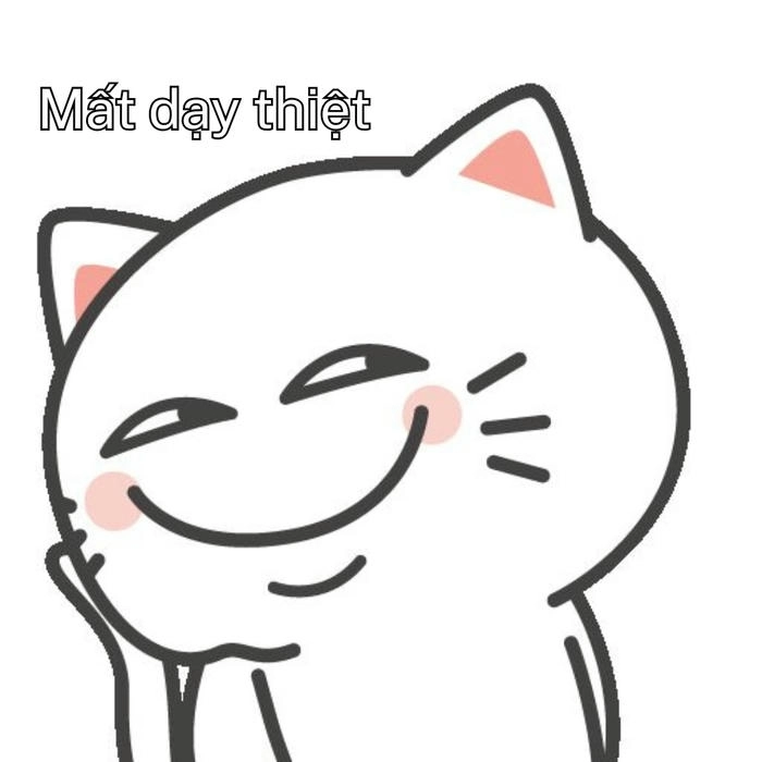 hình hài meme mất dạy