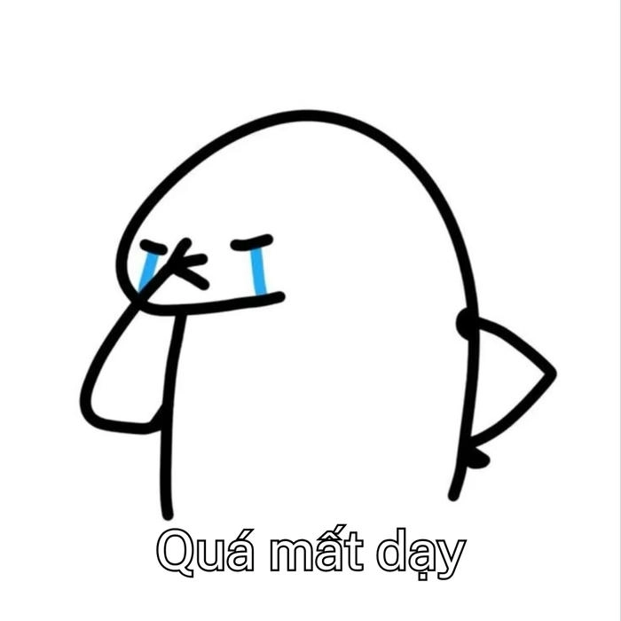 ảnh chế meme mất dạy hài