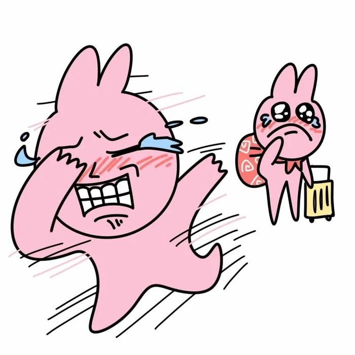 meme thỏ hồng