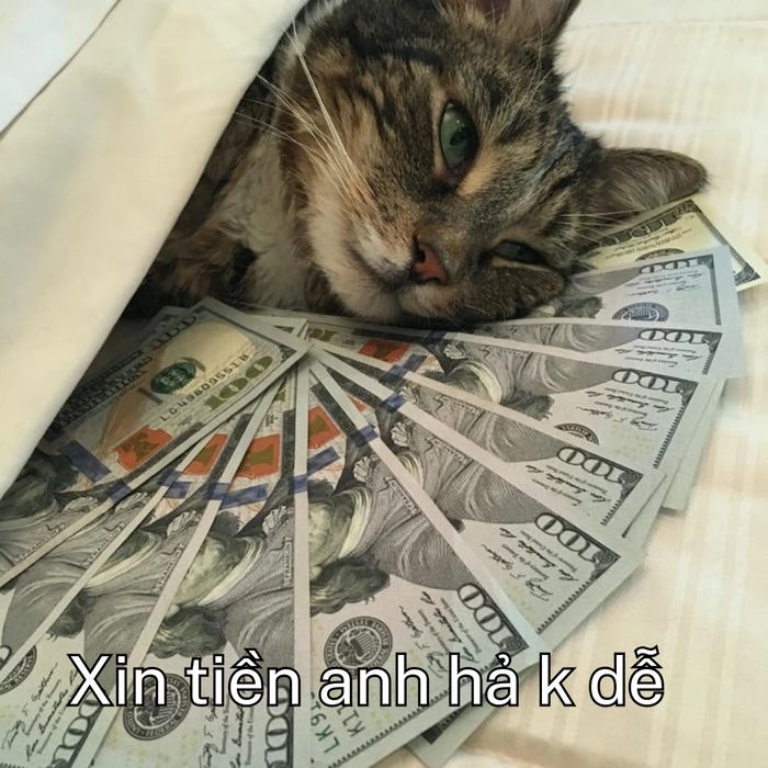 meme tiền nè
