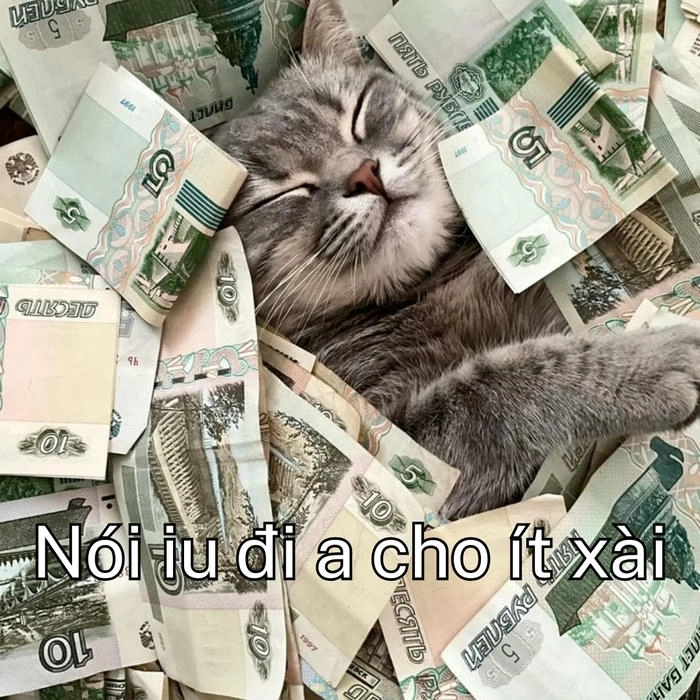 tải ảnh meme xin tiền