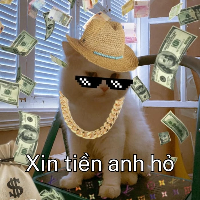 cứ hết tiền tiêu anh gọi xin mẹ