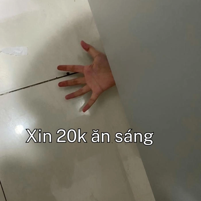 meme xin tiền mẹ