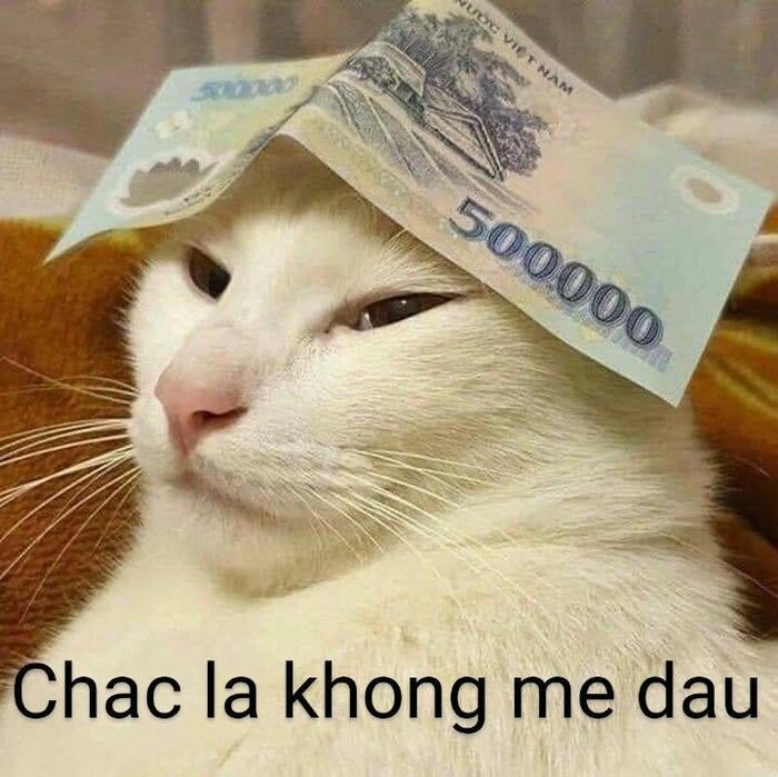 ảnh meme xin tiền