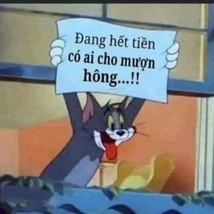 ảnh meme xin tiền