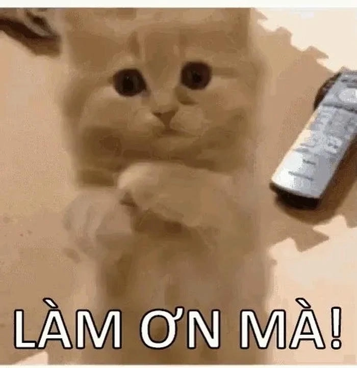 meme mèo xin xỏ 2