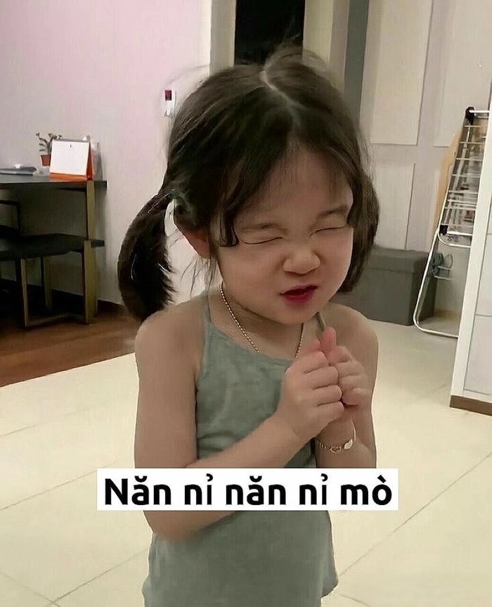 meme xin xỏ năn nỉ