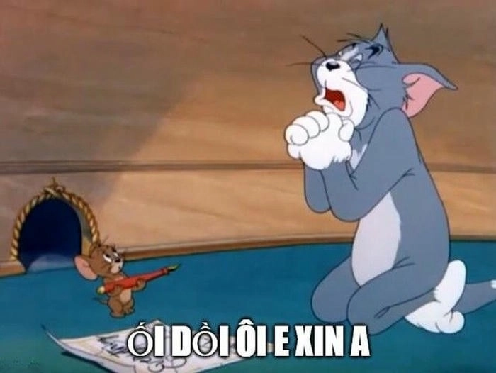 meme mèo xin xỏ hài