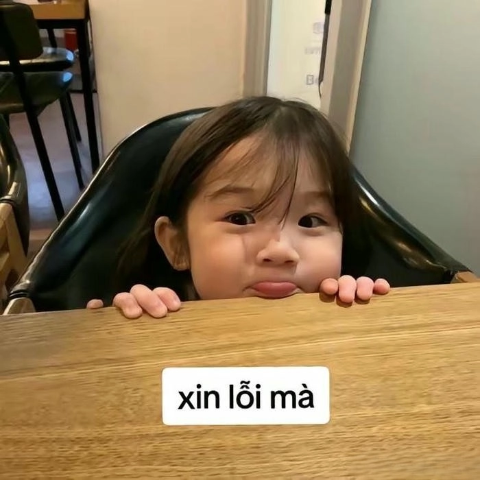 meme xin xỏ cute phô mai que