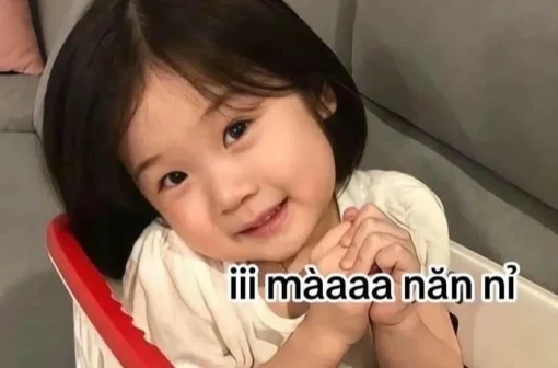 123+ Meme xin xỏ cute lạc lối, đáng yêu hết nấc tha lỗi ngay