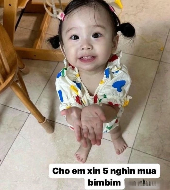 meme xin xỏ dễ thương