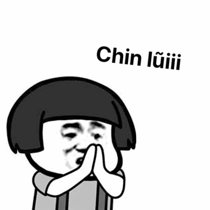 meme mèo xin lũi mò
