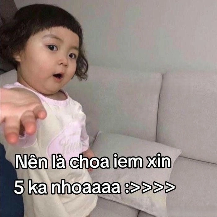 meme xin xỏ đáng yêu