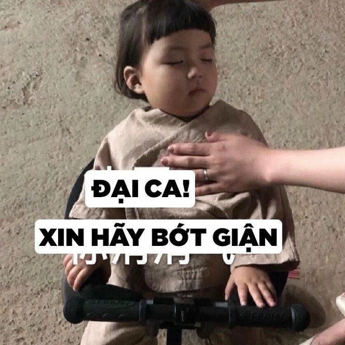 meme xin xỏ đại ca