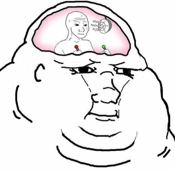 hình thiểu năng meme