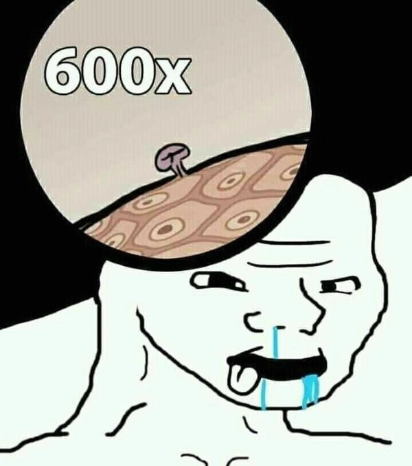 meme thiểu năng troll