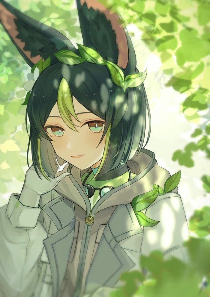 hình nhân vật Tighnari anime