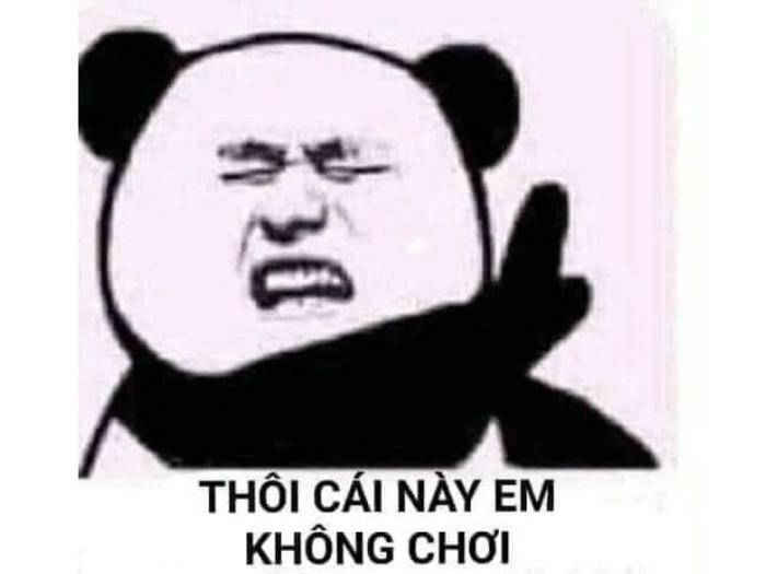 ảnh meme chê gấu trúc