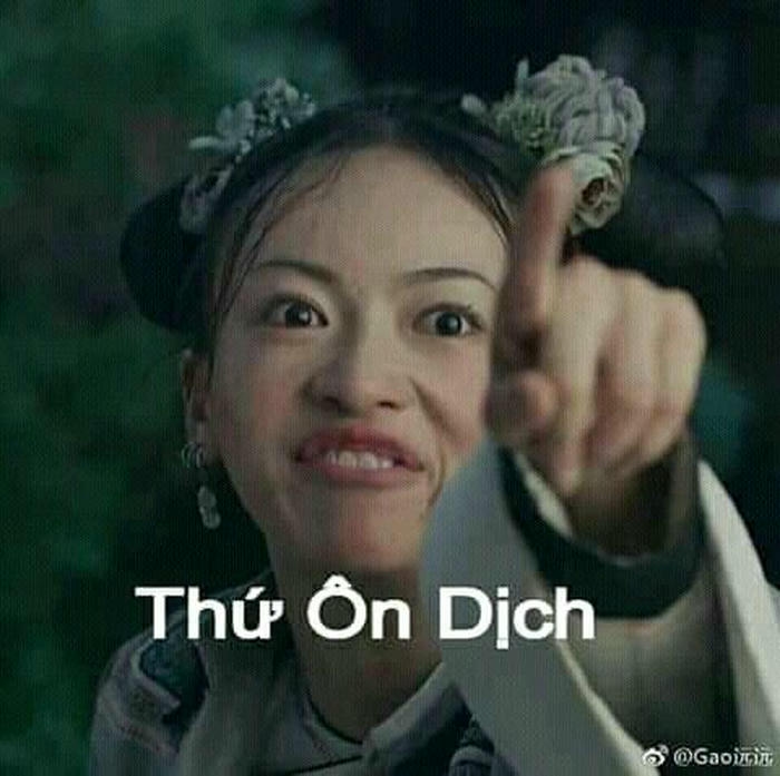 ảnh meme chê thứ ôn dịch